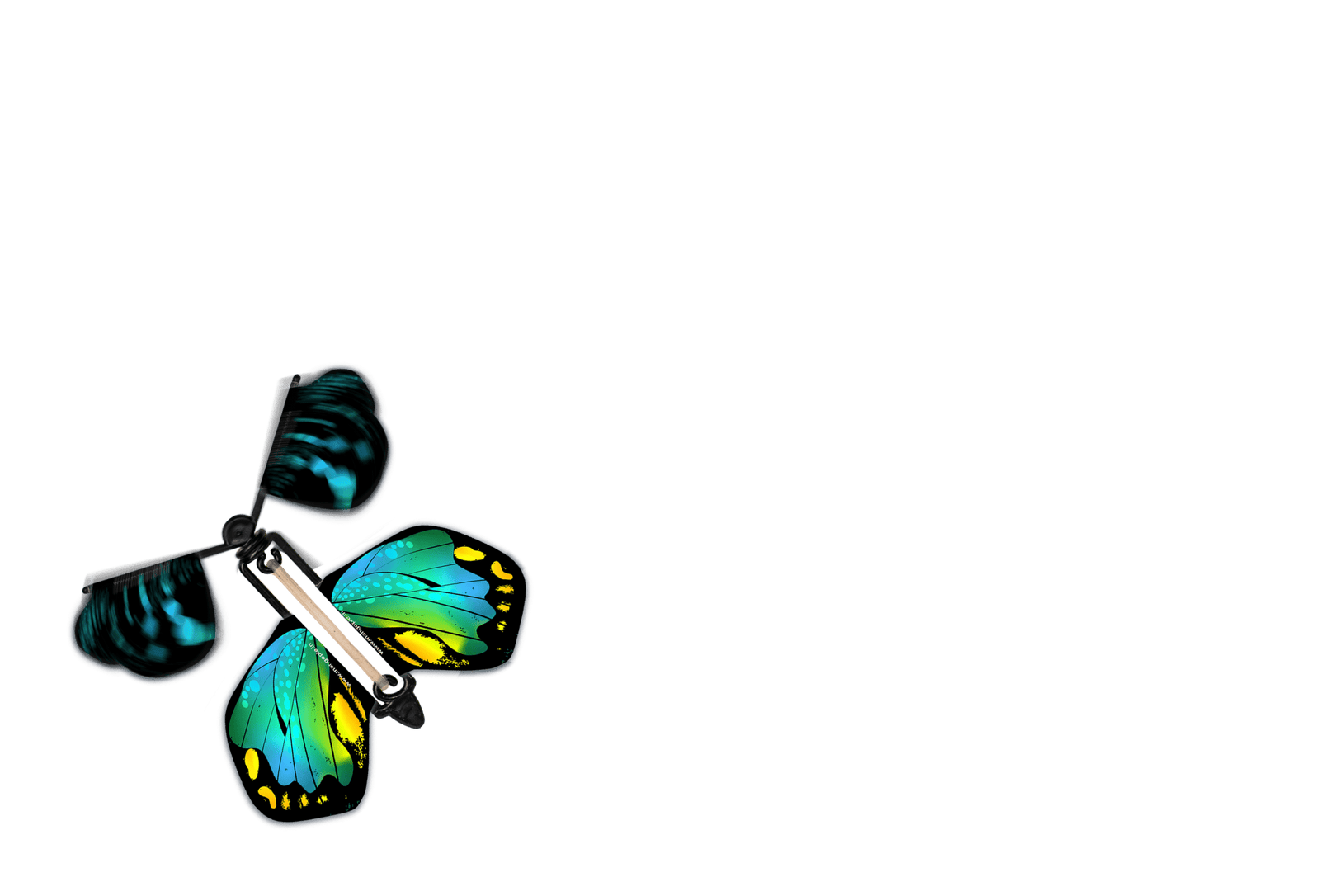 teal butterfly
